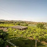 Grape Datca