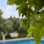 Grape Datca *