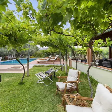 Grape Datca Kizlan